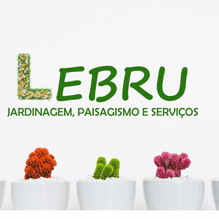 Lebru Serviços