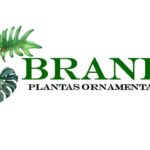 Brand Plantas Ornamentais