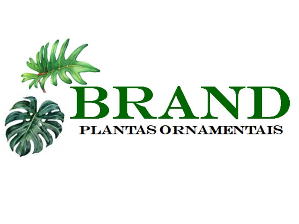 Brand Plantas Ornamentais