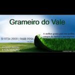 Grameiro do vale