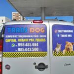 Táxi Trans Dog